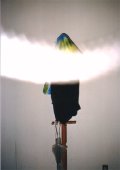 ASS / Ryohei Noguchi  野口亮平