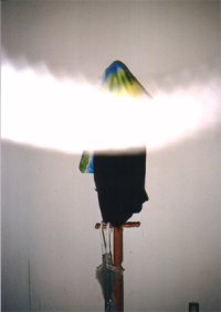 ASS / Ryohei Noguchi  野口亮平