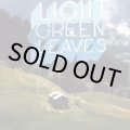 Light Green Leaves / Little Wings