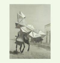 Estampida / VICTOR HERRERO