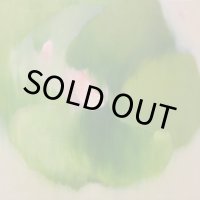 moss / トウヤマタケオ、Nils Frahm、Peter Broderick他