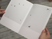 Large Image1: Dying Birds / Nicolai Howalt & Trine Søndergaard