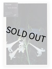 See you next dream / Rie Suzuki 鈴木理恵