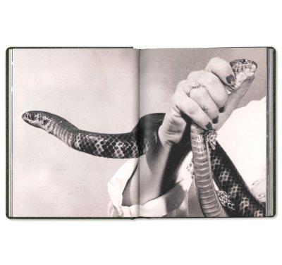 画像7: GIRL PLAYS WITH SNAKE / Clare Strand