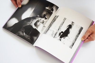 画像6: キチムは空に飛ぶ / 橋本とし子