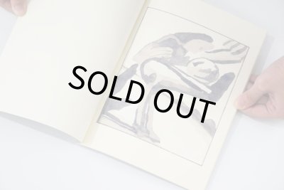 画像6: Build Your Own Folly /  Yusuke Nagaoka 永岡裕介