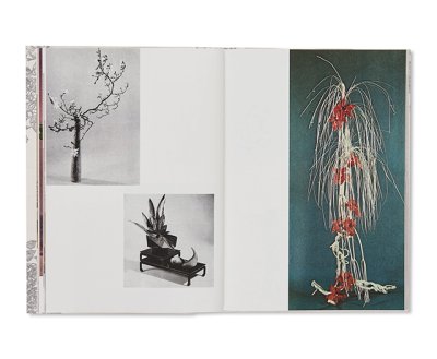 画像4: ARRANGING FLOWER ARRANGING / Andrea Salerno, Yeliz Secerli