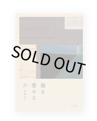 傷を愛せるか / 宮地尚子