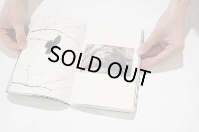 画像5: White Crow / Hans Bol