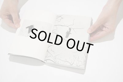 画像3: White Crow / Hans Bol