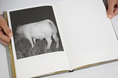 画像9: Turistica / Carlo Rusca