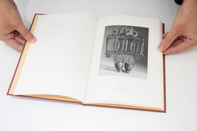 画像8: DOROTHY / Takahiro Murahashi 村橋貴博