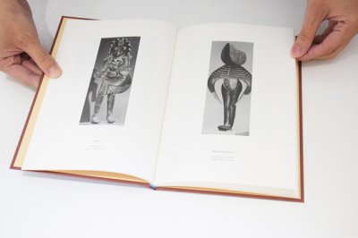 画像9: DOROTHY / Takahiro Murahashi 村橋貴博