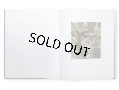 画像3: NORTH AMERICAN MAMMALS / Sean Landers