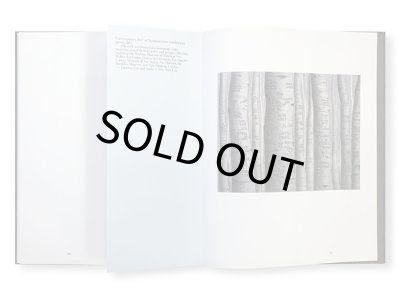 画像8: NORTH AMERICAN MAMMALS / Sean Landers