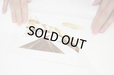 画像5: HOMESICK / 箕輪麻紀子