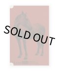 Horse  /  Heleen Peeters