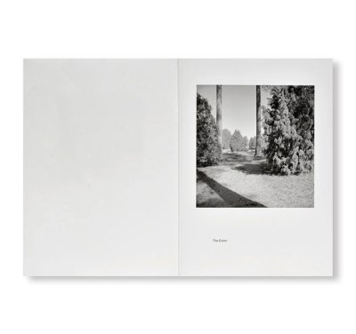 画像7: （SIGNED）ESKER by Gerry Johansson