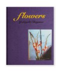 flowers /  奥山由之