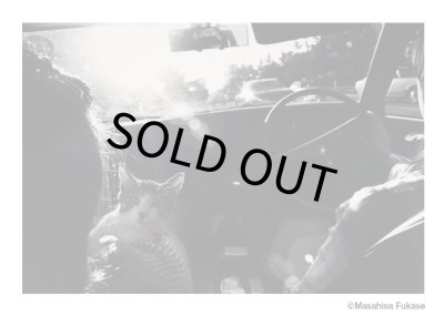 画像9: サスケ / 深瀬昌久 トートバッグ付き