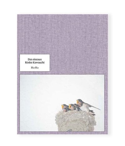 画像1: Des oiseaux（On birds）/  川内倫子 Rinko Kawauchi 