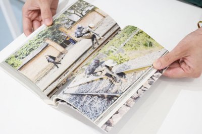 画像9: 24 Mails from the Railway / Cheng Xinhao 程新皓