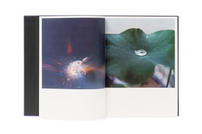 画像2: Illuminance: The Tenth Anniversary Edition / 川内倫子 RINKO KAWAUCHI