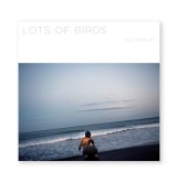 LOTS OF BIRDS (LP)  /  澁谷浩次