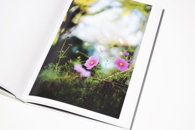 画像6: CLOUD PHYSICS / TERRI WEIFENBACH