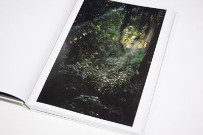 画像3: CLOUD PHYSICS / TERRI WEIFENBACH