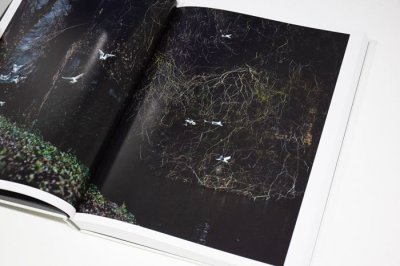 画像5: CLOUD PHYSICS / TERRI WEIFENBACH