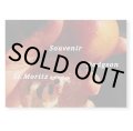 SOUVENIR ST. MORITZ #3 / Colin Dodgson