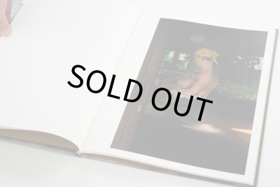 画像3: BEHIND GLASS /  Lisa Sorgini 