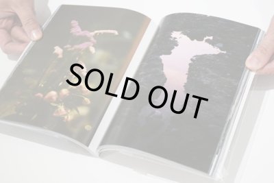 画像8: After You Fell Asleep I Had A Dream/あなたが寝てから、わたしは夢を見た　 /  成重松樹