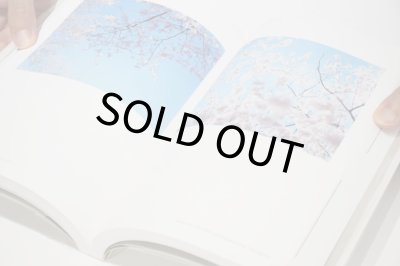 画像9: Photography? End? 　7つのヴィジョンと7つの写真的経験  /  薄井一議、大島成己、オノデラユキ、北野謙、鈴木理策、似鳥水禧、濱田祐史