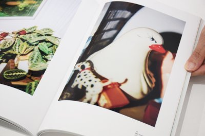 画像8: refocus / Norihito Hiraide