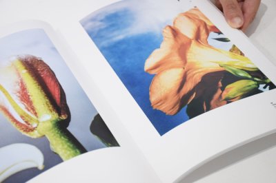 画像4: refocus / Norihito Hiraide