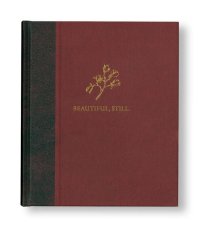 BEAUTIFUL, STILL. / Colby Deal