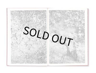 画像13: SONATA / Aaron Schuman