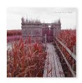 Tan-Tan Therapy（LP+DL）  /  テニスコーツ