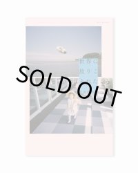 世界に放りこまれた  /  安達茉莉子