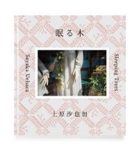 眠る木 / 上原沙也加