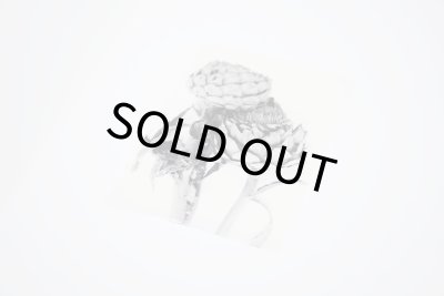 画像7: TIME IN AIR, TIME IN PAPER / 森田幸子