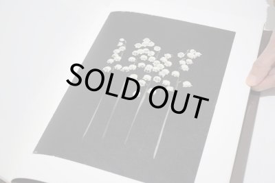 画像10: TIME IN AIR, TIME IN PAPER / 森田幸子