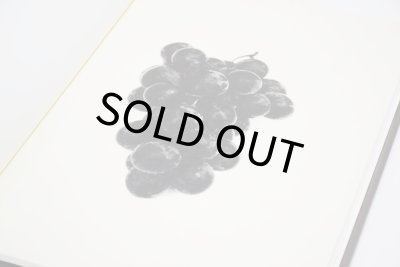 画像5: TIME IN AIR, TIME IN PAPER / 森田幸子