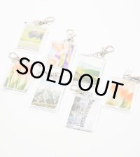 Photograph Keyholder / Norihito Hiraide