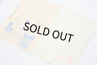 画像5: Dream Dreams Manuel Jiménez: A Brief History of Oaxacan Wood Carving / LABRAVA