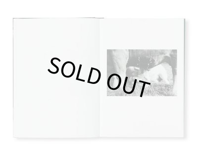 画像8: COMPANIONS / Yana Wernicke