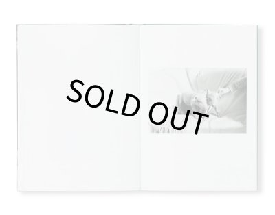 画像12: COMPANIONS / Yana Wernicke