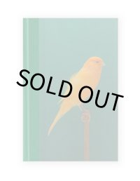 An Incomplete Dictionary of Show Birds Vol.2  / Luke Stephenson